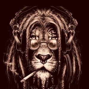 Meet your Posher, Donatello michelangelo